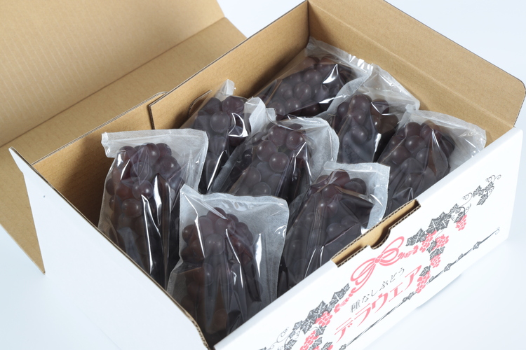 デラウェア 1箱 約1.5kg(8~9房)|おいしい出雲 デラウェア 1箱 約1.5kg(8~9房)|おいしい出雲